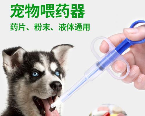 如何帮宠物猫突拉稀吃什么药（掌握这些方法）