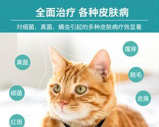 以猫癣用口服药治疗（宠物健康必备）