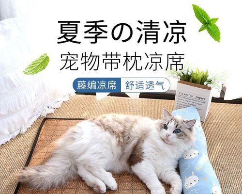 猫咬人十天，到底是什么原因（探究猫咬人的原因）