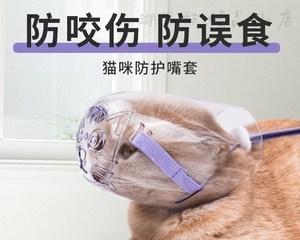 猫咬人衣服的处理方法（保护宠物及自己的安全）