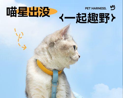 如何判断猫咪是否怀孕（宠物养护必备）