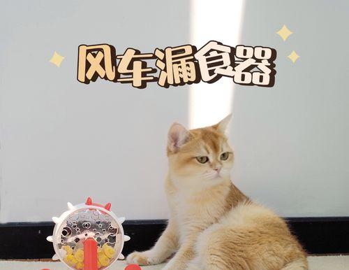 自制猫咪玩具，让你的宠物更开心（宠物的快乐靠自己制造）