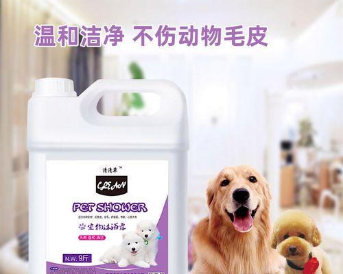 泰迪犬洗澡的费用是多少（了解宠物洗澡的重要性和费用因素）