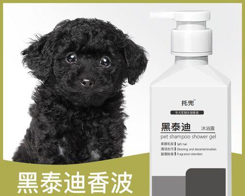 泰迪犬洗澡的费用是多少（了解宠物洗澡的重要性和费用因素）