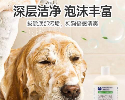 泰迪犬洗澡的费用是多少（了解宠物洗澡的重要性和费用因素）