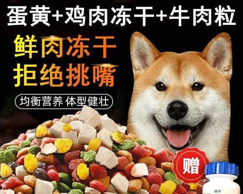 土狗是否需要吃狗粮（探讨土狗饮食习惯和狗粮的适用性）