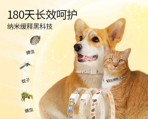 宠物猫咪一定有跳蚤吗（揭秘猫咪身上的跳蚤现象）