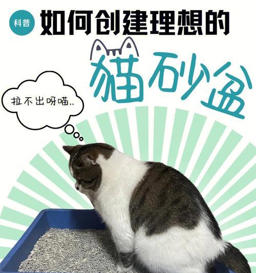 猫砂的重要性（为宠物猫提供干净舒适的生活环境）