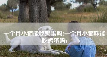 小狗吃生鸡蛋，该不该给它吃（宠物主人必看）