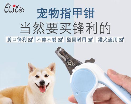 以小狗的血线为主的宠物饲养指南（培养血统优良的宠物犬）