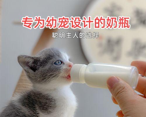 当宠物猫咪变成“凶猫”（了解猫咪的行为习惯）