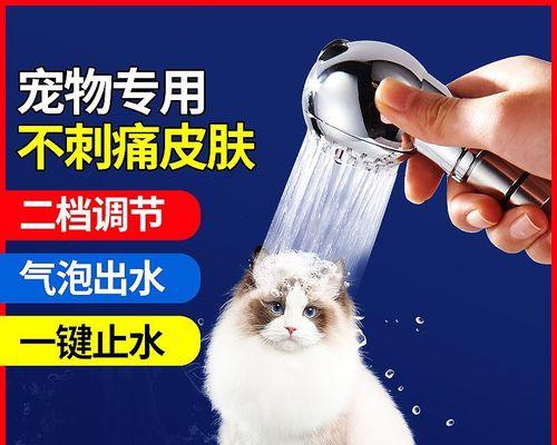 如何洗猫（宠物洗护小知识）