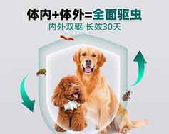 小狗服用消化药全攻略（以宠物为主）