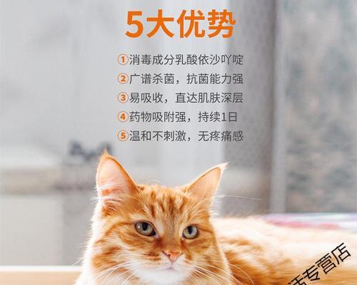 小猫长癣怎么办（以宠物为主）