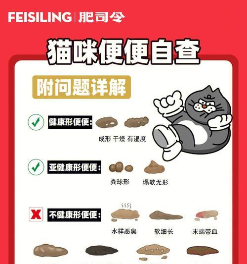 宠物猫的大便颜色与健康关系（小猫的大便应该是什么颜色）