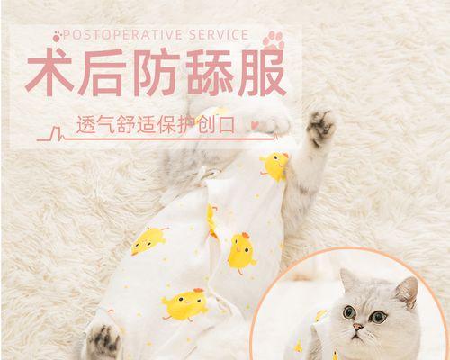 小猫为何会掉毛会出血（探究小猫掉毛出血的原因与治疗方法）