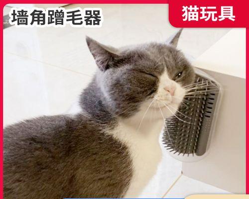 如何画出小猫躲墙角的可爱形象（以宠物为主题）