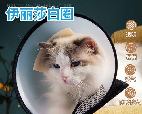 从小猫拉屎到大猫舔屎，宠物世界的奇妙旅程（宠物主人必看）