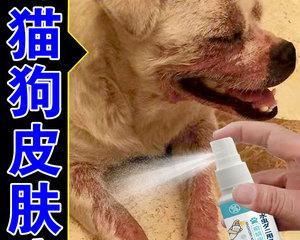 小猫猫藓如何治疗（宠物医生推荐的药物治疗方案）