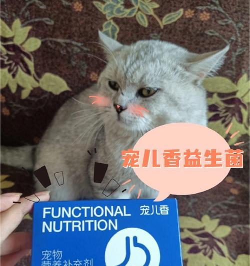 小猫能否吃益生菌（探讨宠物健康与营养的关系）