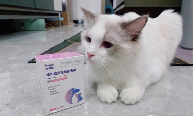 小猫能否吃益生菌（探讨宠物健康与营养的关系）