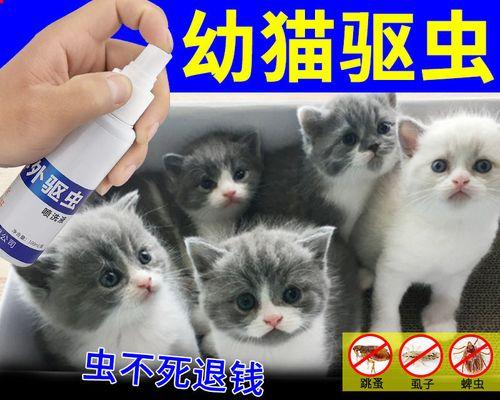 如何给宠物猫进行驱虫后洗澡（小猫驱虫后需要注意的事项和洗澡技巧）