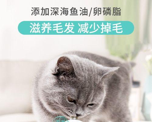 小猫的毛发护理（以宠物为主）