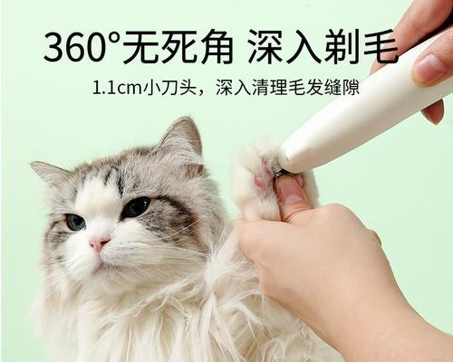 宠物猫剪毛时间与方法详解（小猫何时可以开始剪毛）