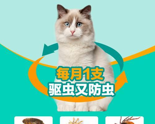 小猫驱虫时间表（宠物健康必备）