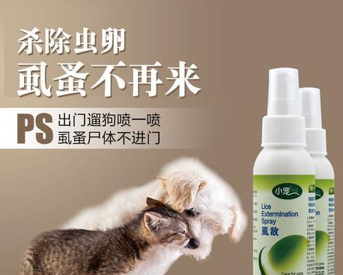 宠物健康——小猫体外驱虫的重要性（驱虫是宠物健康的必修课）