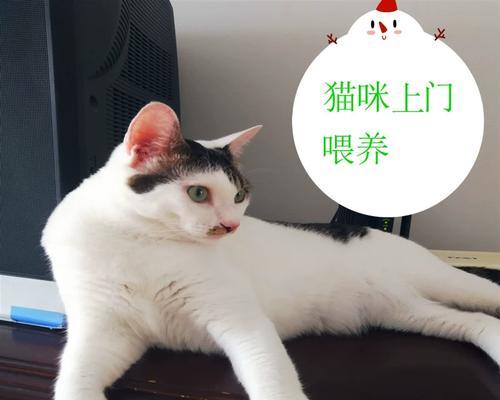 从小猫到大猫，时间需要多长（探究养猫时间与成长的关系）