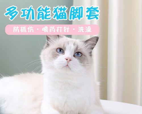 小猫咬了我怎么办（处理被宠物咬伤的正确方法）