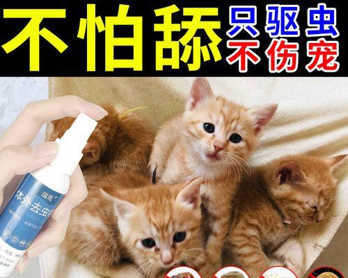 小猫跳蚤会危害健康吗（了解小猫跳蚤对宠物和人类的影响）