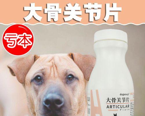 如何为宠物小猫补充营养（宠爱小猫）