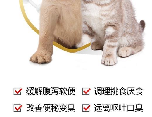 小猫吃益生菌，健康无忧（以宠物为主）