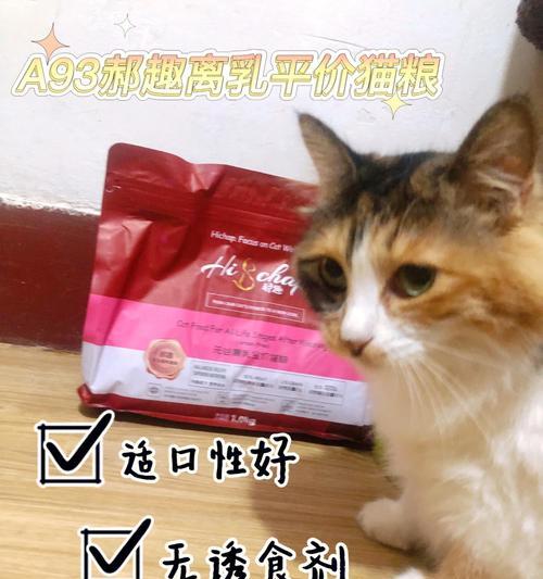 小猫猫只吃几颗猫粮，如何保证其健康成长（宠物猫如何正确补充营养）