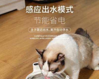 宠物小猫的饮水问题（为什么小猫一晚上不喝水会有什么危害）