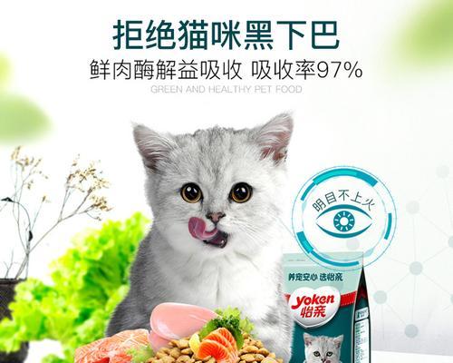 如何正确泡软幼猫猫粮（宠物猫咪的饮食健康从正确泡软幼猫猫粮开始）