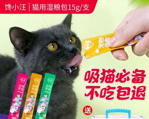 如何正确泡软幼猫猫粮（宠物猫咪的饮食健康从正确泡软幼猫猫粮开始）