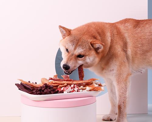 犬宝宝的美味零食大全（以幼犬的口味为主）