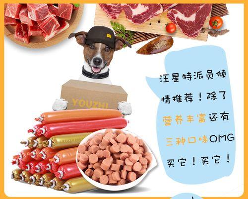 犬宝宝的美味零食大全（以幼犬的口味为主）