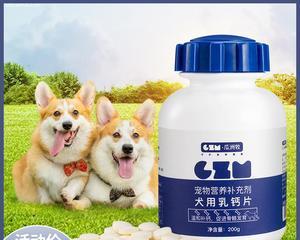 如何选择适合幼犬的钙片（宠物健康从饮食开始）