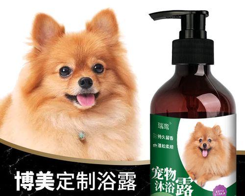 如何为你的博美犬洗澡（清洁）