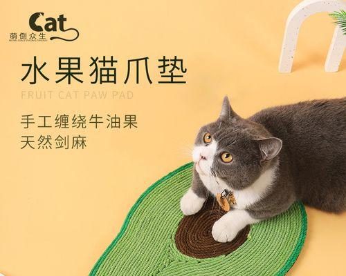 宠物小猫磨爪子的正确方法（如何帮助小猫磨掉爪子）