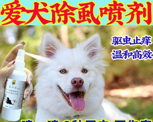 狗狗脚剪破了用什么药？如何正确处理宠物伤口？