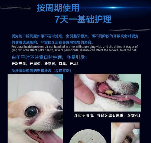 狗狗结石吃什么药最好？如何选择合适的治疗方案？