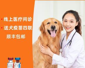 狗狗狂犬弓形虫一起打？如何有效预防和治疗？