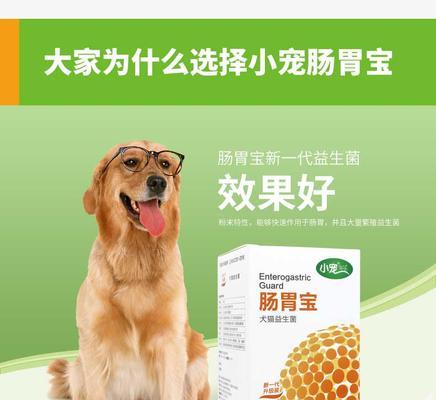 狗狗拉肚的药有什么药？如何正确选择和使用？