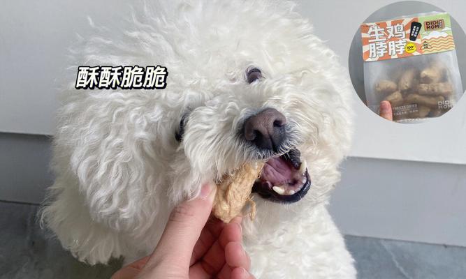 狗狗没牙可以吃什么药？如何为无牙犬选择合适的药物？