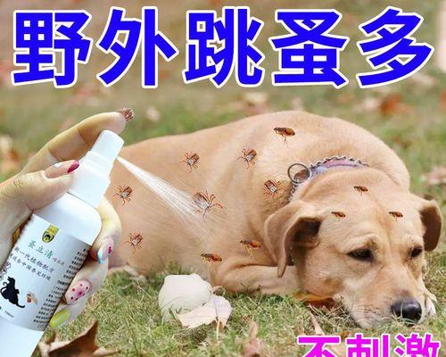 狗狗驱虫药中毒两天了怎么办？如何进行紧急处理和预防？